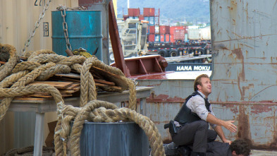 Imagen de Hawai 5.0 (T1): Ep.1 Piloto - 3