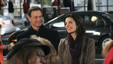 Imagen de C.S.I. Nueva York (T7) - 3