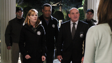 Imagen de C.S.I.: Las Vegas (T11): Ep.9 Fauna salvaje - 3