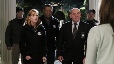 Imagen de C.S.I.: Las Vegas (T11): Ep.12 Un beso antes de freír - 3