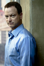 Imagen de C.S.I. Nueva York (T8) - 2