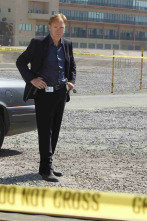 Imagen de C.S.I.: Miami (T10): Ep.8 El doble - 2