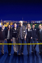 Imagen de C.S.I.: Las Vegas (T12): Ep.22 Regreso al hogar - 2
