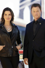 Imagen de C.S.I. NY (T9) - 2