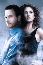 Imagen de C.S.I. Nueva York (T1): Ep.17 La caida - 2