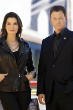 Imagen de C.S.I. Nueva York (T7) - 2