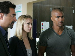 Mentes criminales (T5): Ep.13 Un asunto arriesgado