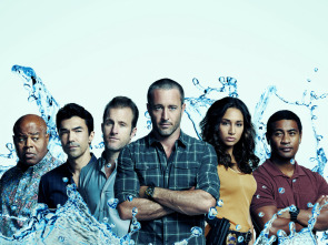 Imagen de Hawai 5.0 - 1