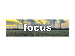 Imagen de Focus - 1