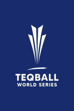 Teqball World Series (2024)