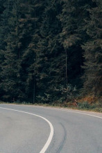 Imagen de UCI Pro Series (2025): Across the Hageland - 2