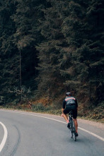 Imagen de UCI MTB - Val di... (2025): Descenso F - 7