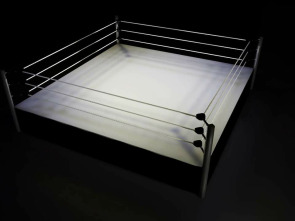 Imagen de UFC Fight Night: Garcia vs Onama (2025) - 1