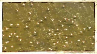 Imagen de Riu avall: Francolí - 3