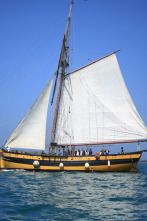 Imagen de Thalassa: Un mar de vinyes - 2