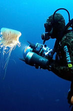 Imagen de Thalassa curts: L'ofici de fer gòndoles - 2