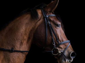 Imagen de CSIO Barcelona (2025): Lliga de les Nacions - 1a ronda - 1