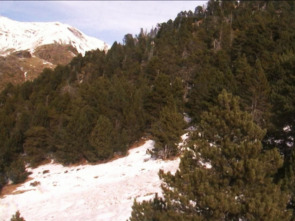 Imagen de Xarxa Natura: Garrotxa - 1