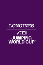 Imagen de Copa del mundo de... (25/26): Stuttgart - 7