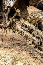 Imagen de Mundial de motocross - Suecia (2025) - 5