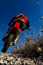 Imagen de Mundial de... (2025): MX2 - Primera carrera - 4