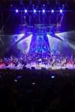 Imagen de Oholtzan (T24/25): Bulego Donostian - 2