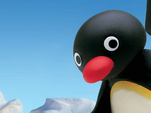 Pingu