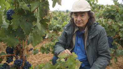 Imagen de Wineman: Ribera de Duero, el vino de las fronteras - 3