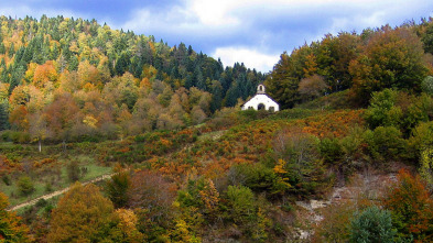 Euskal Herria: La...: Naturaleza salvaje