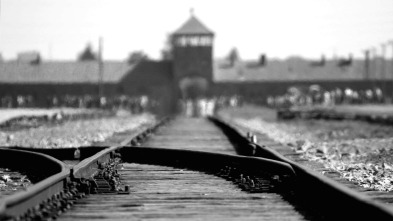 Imagen de El informe Auschwitz - 3