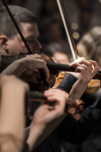 Imagen de Sonata Para Andres Isasi - 2