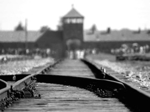 Imagen de El informe Auschwitz - 1