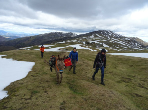 Imagen de Aralar, mundua leku den lurra - 1
