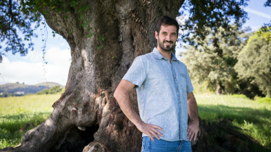 Imagen de Historias a Bocados - 3