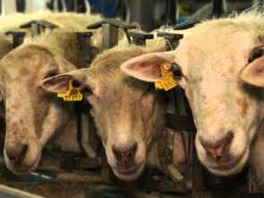 Imagen de Sustraia - 1