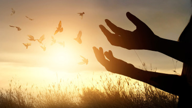 El dogma de la perpetua virginidad de María