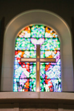 Imagen de Especial de EWTN: Camino Abierto - 2