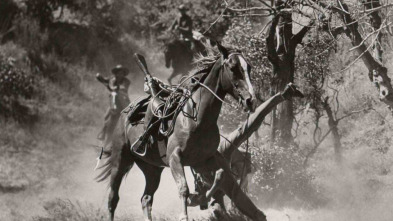 Imagen de El desertor de El Álamo - 3