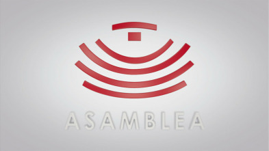 Imagen de Asamblea - 3