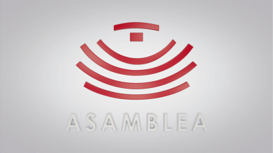 Imagen de Asamblea - 3