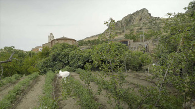Imagen de Siente Extremadura - 3