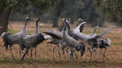 Imagen de Extremadura, el paraíso natural de Europa - 3