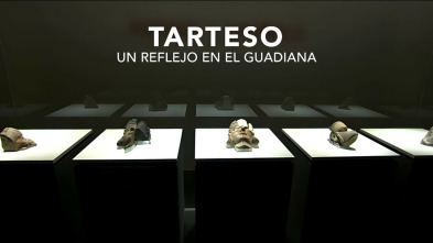 Imagen de Tarteso, un reflejo en el Guadiana - 3