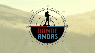 Imagen de Dónde andas - 3