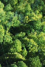 Imagen de Paisaje natural - 2