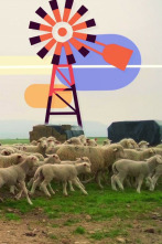 Imagen de Maestr@s del campo - 2