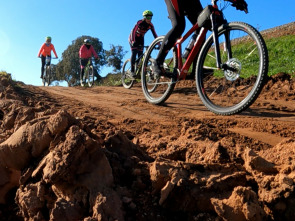 Imagen de A piñón fijo - 1