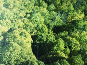 Imagen de Paisaje natural - 1