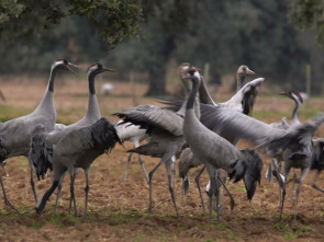 Imagen de Extremadura, el paraíso natural de Europa - 1