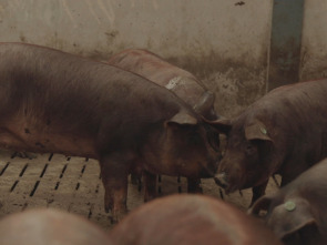 Imagen de El campo es vida - 1